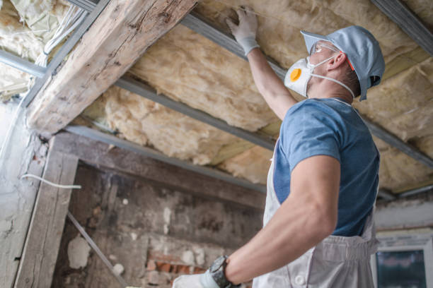 Types of Insulation We Offer in Petersburg, VA