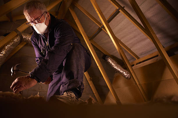 Best Eco-Friendly Insulation in Petersburg, VA